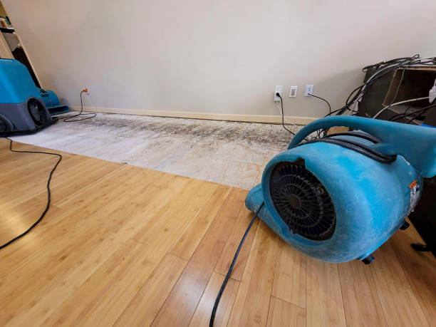 Professional Water Damage Repair technician working in Morrow, OH